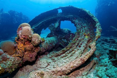 Tooth rim of gun turret