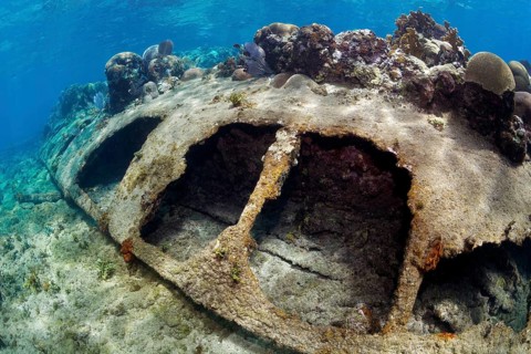 Shipwreck