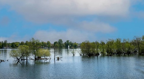 Nature reserve on the Oberhavel near Hennigsdorf