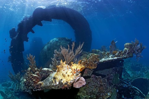 Tooth ring of gun turret