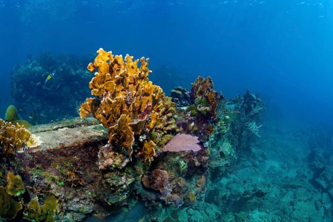 Shipwreck