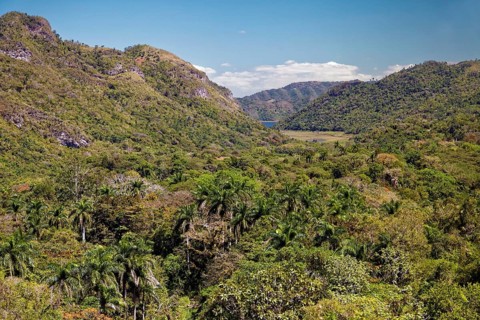 Landscape