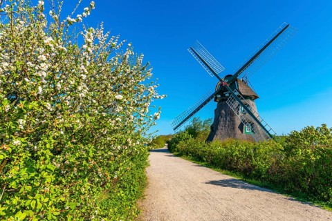 Windmill Charlotte