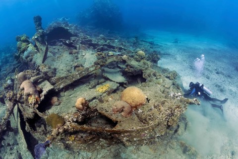 Diver explores shipwreck