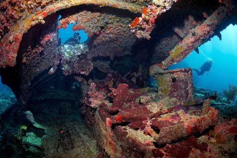 Diver