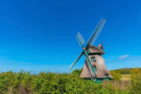 Windmill Charlotte