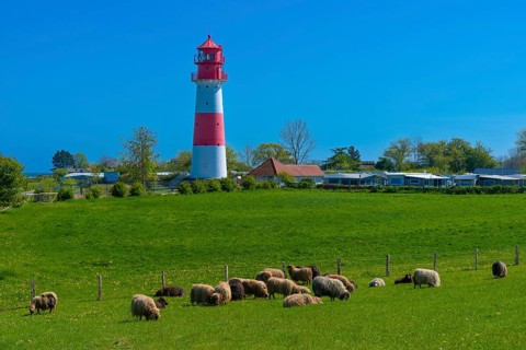 Falshoeft lighthouse