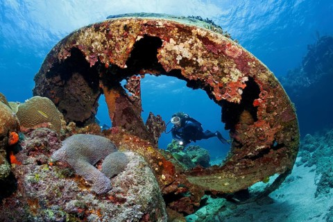 Diver