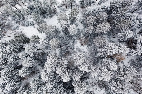 Drone photo
