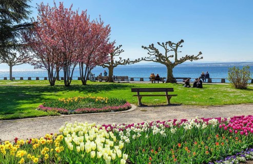 Lakeside park in spring