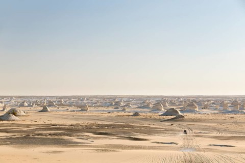 View over the white desert
