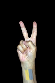 Symbolic image for victory and peace