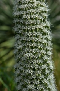 Detail of the White Anaga tower of jewels