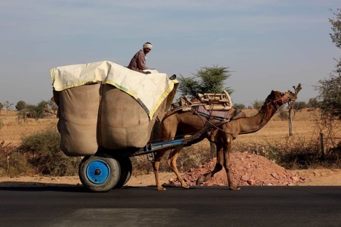 Rajasthan