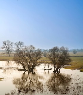 River landscape on the Elbe near Wittenberge
