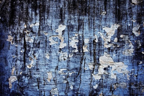 Painted plaster wall texture