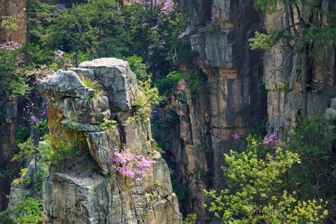 Famous tourist attraction of China