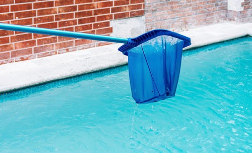 Pool Leaf Skimmer