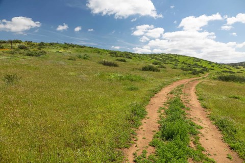Dirt road in lush green meadow leading into the hills