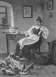 Der Haushund hat viele Welpen