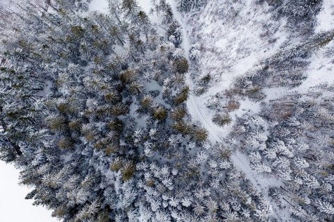 Drone photo