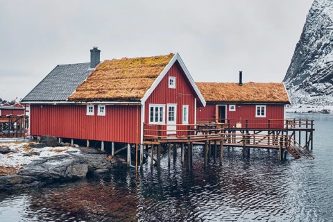 Traditional red rorbu house with grass covered roof in Reine village on Lofoten Islands