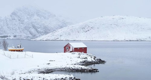 Panorama of traditional red rorbu house and fjord shore with heavy snow in winter. Lofoten islands