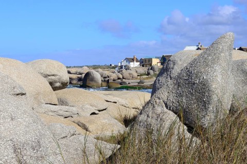 Houses on a rocky coast