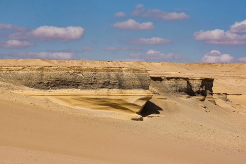 Fossil-bearing strata