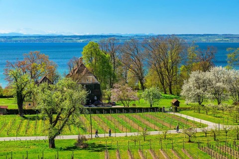 Hagnau on Lake Constance in spring