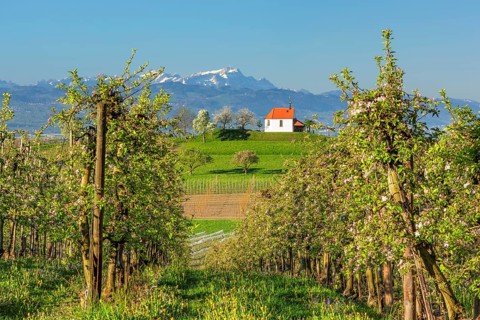 St. Anthony's Chapel with view of the Saentis