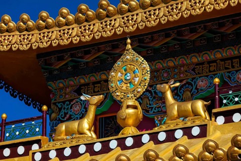 Buddhist Wheel of the Law
