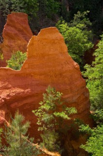 Ochre nature trail