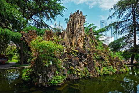 Pond in Wangjiang Pavilion