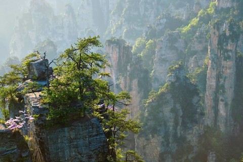 Famous tourist attraction of China