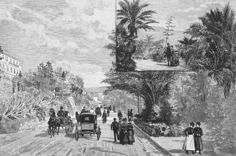 The German Crown Prince's Family in the Promenades of San Remo
