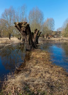 River landscape on the Elbe near Wittenberge