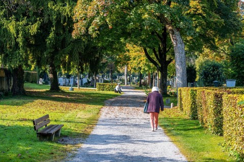 Old woman walking in the park