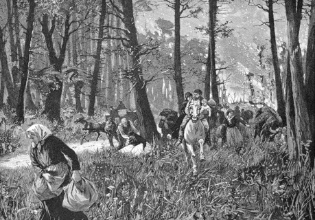 Peasants fleeing from a forest fire