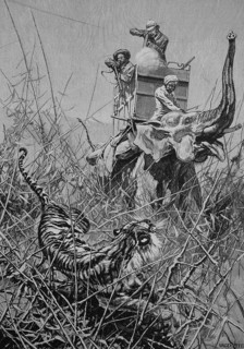 Tiger Hunt from the Elephant