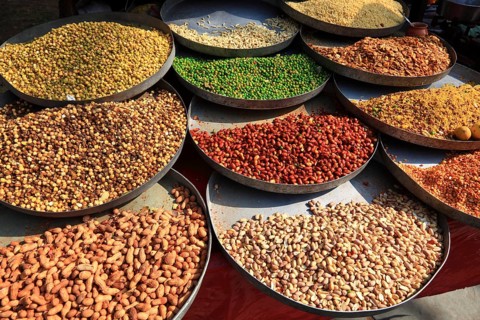 Rajasthan
