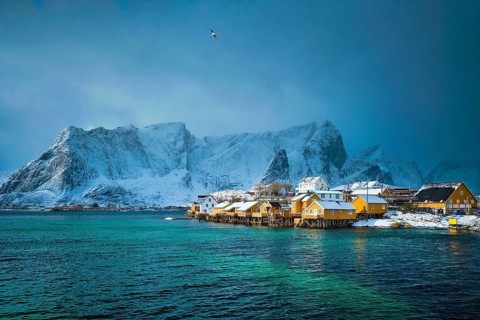 Yellow rorbu houses of Sakrisoy fishing village with snow in winter. Lofoten islands