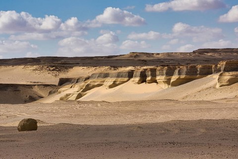 Fossil-bearing strata