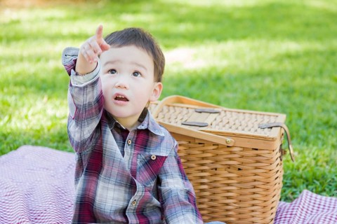 Cute young mixed-race boy sitting in park near picnic basket
