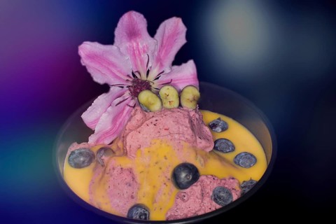 Ice cream of fresh european blueberry