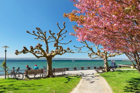 Lakeside park in spring