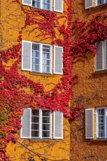 Inner courtyard with yellow apartment buildings