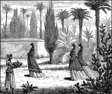 Gentlewomen in a garden in Mexico
