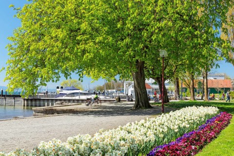 Lakeside park in spring