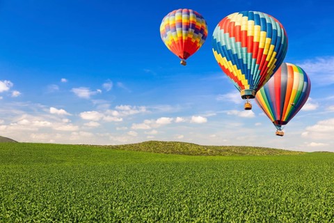 Hot air balloons over lush green landscape and blue sky